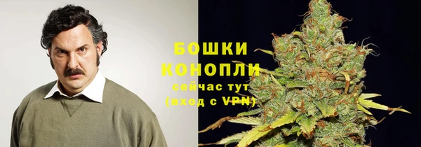 каннабис Алзамай