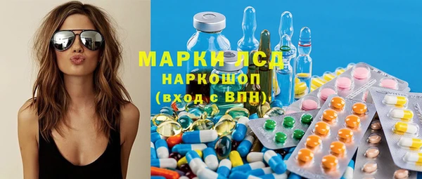 гидра Алексин