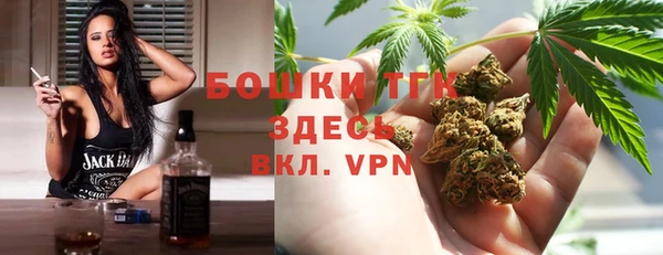 гидра Алексин