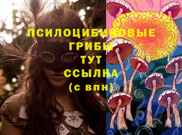 гидра Алексин
